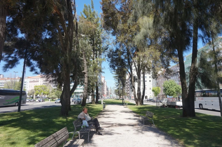 Loja para Arrendamento em Alvalade Foto 13