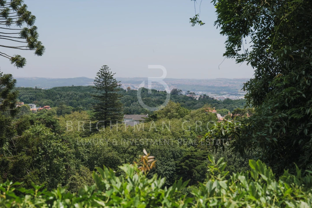 Moradia T3 para Venda em Santa Maria e São Miguel, São Martinho, São Pedro Penaferrim Foto 36