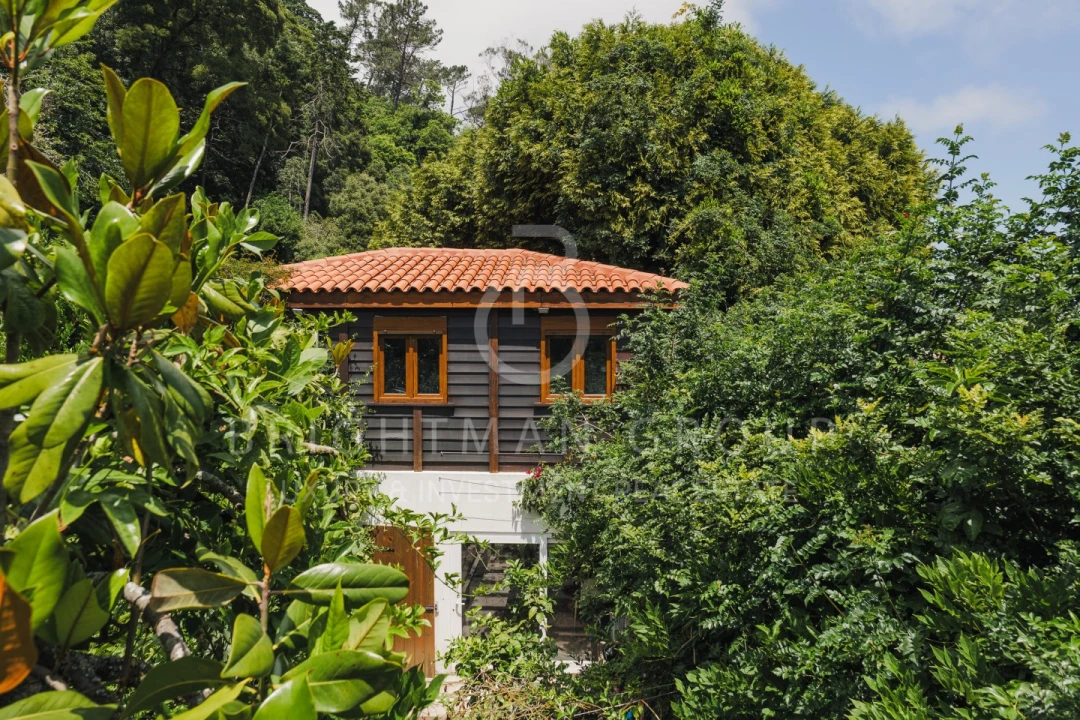 Moradia T3 para Venda em Santa Maria e São Miguel, São Martinho, São Pedro Penaferrim Foto 34
