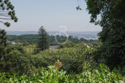 Moradia T3 para Venda em Santa Maria e São Miguel, São Martinho, São Pedro Penaferrim