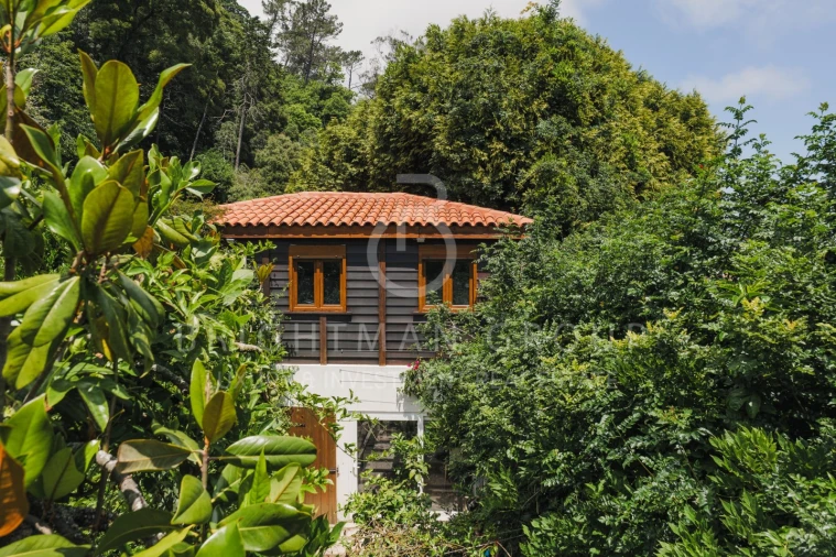 Moradia T3 para Venda em Santa Maria e São Miguel, São Martinho, São Pedro Penaferrim Foto 34