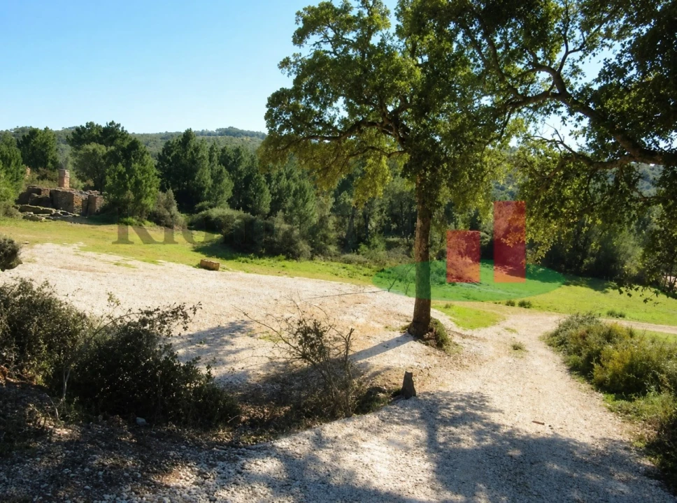 Armazém para Venda em Abrã Foto 3