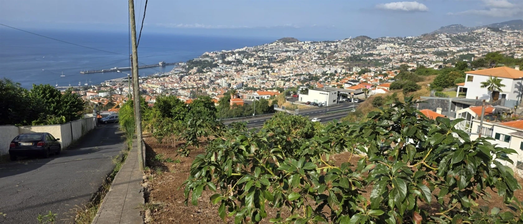 Terreno para Venda em Funchal (Santa Maria Maior) Foto 9
