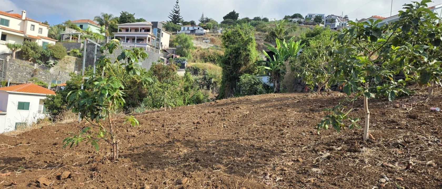 Terreno para Venda em Funchal (Santa Maria Maior) Foto 5