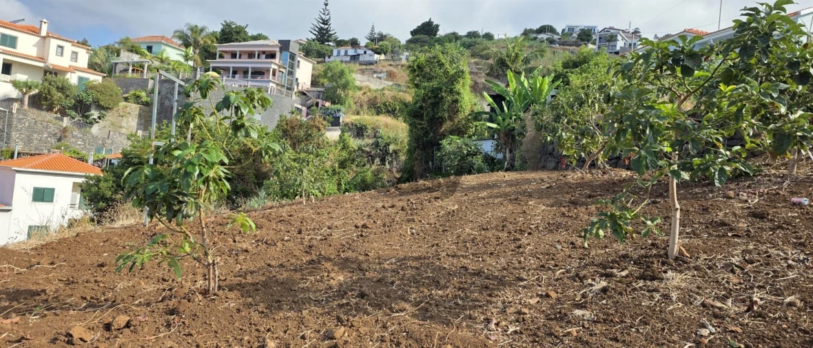 Terreno para Venda em Funchal (Santa Maria Maior) Foto 5