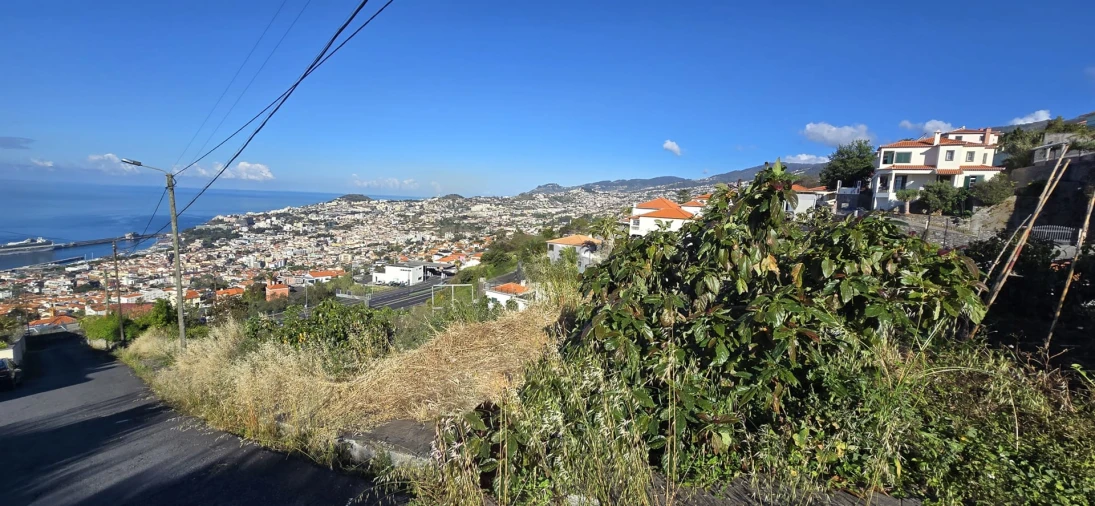 Terreno para Venda em Funchal (Santa Maria Maior) Foto 4