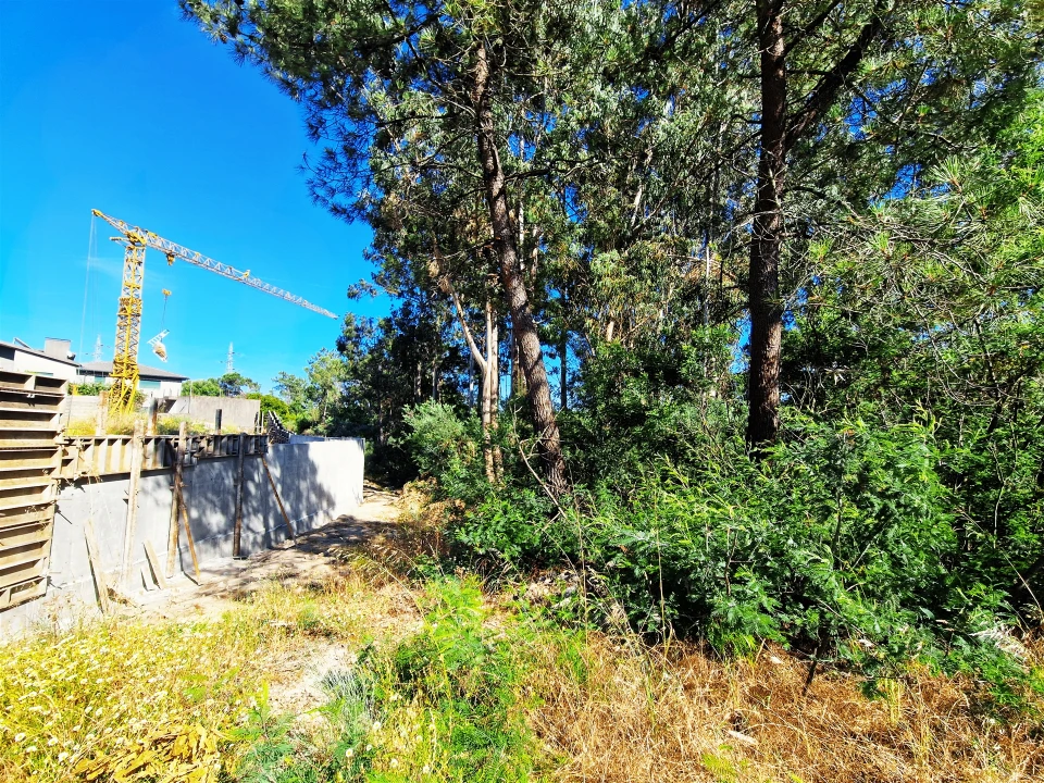 Terreno para Venda em Viseu Foto 10