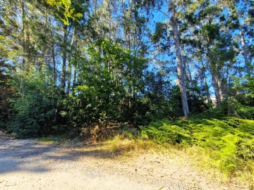 Terreno para Venda em Viseu