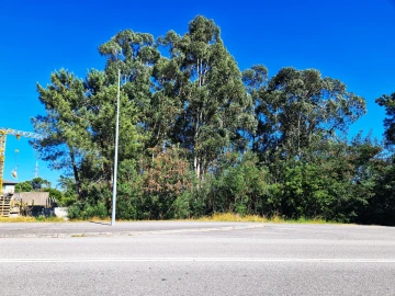 Terreno para Venda em Viseu