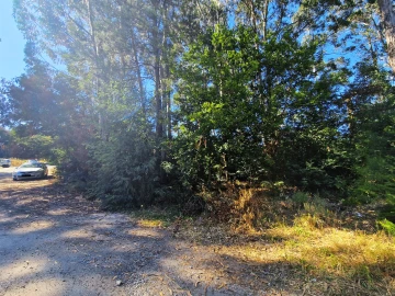 Terreno para Venda em Viseu