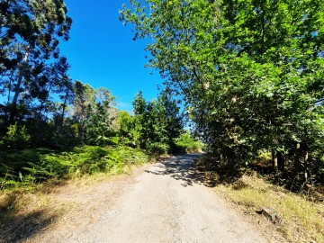 Terreno para Venda em Viseu