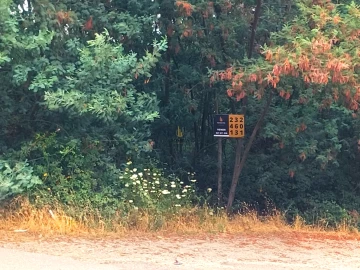 Terreno para Venda em Viseu