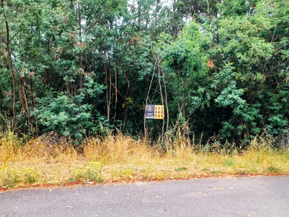 Terreno para Venda em Viseu Foto 14