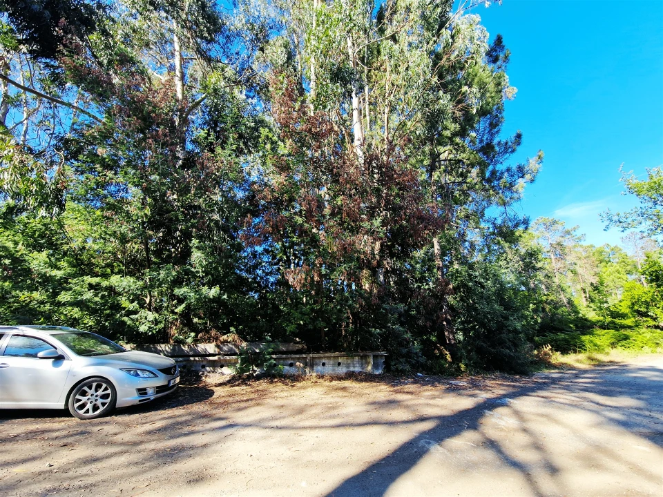 Terreno para Venda em Viseu Foto 15