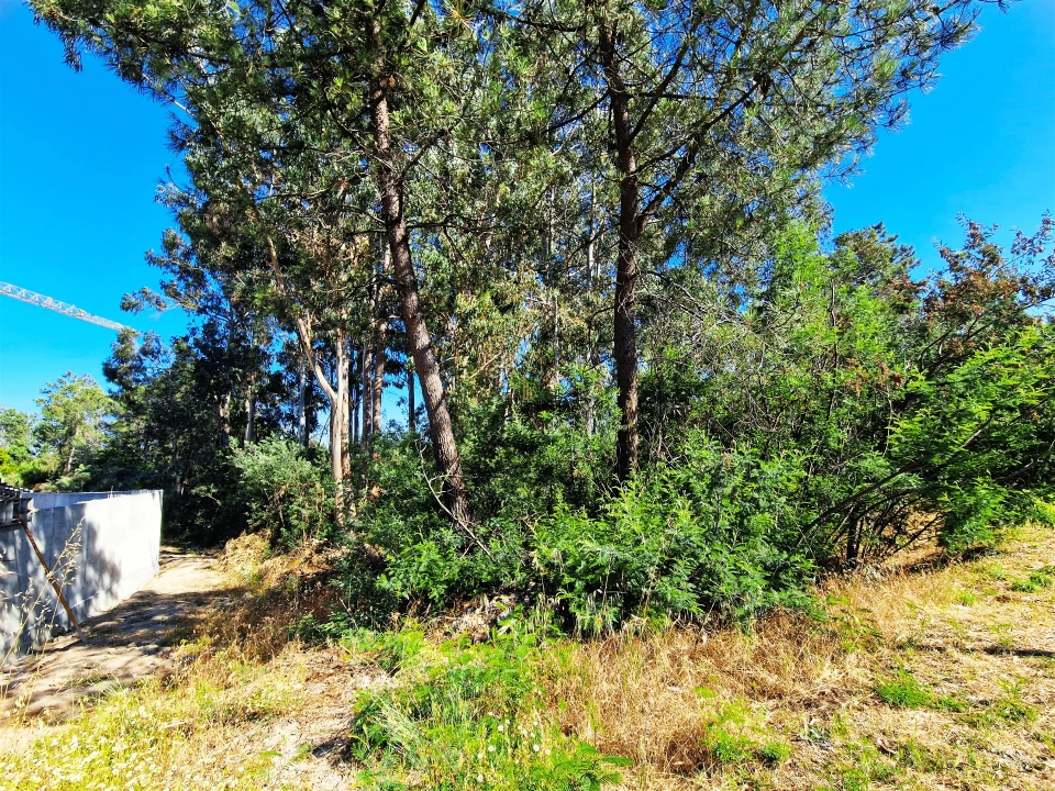 Terreno para Venda em Viseu Foto 6