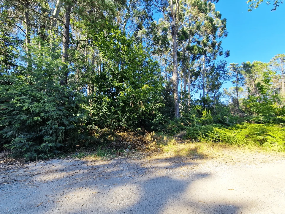 Terreno para Venda em Viseu Foto 13