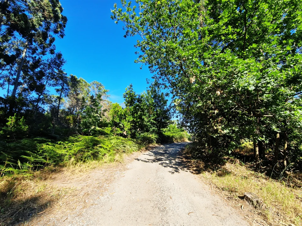 Terreno para Venda em Viseu Foto 4
