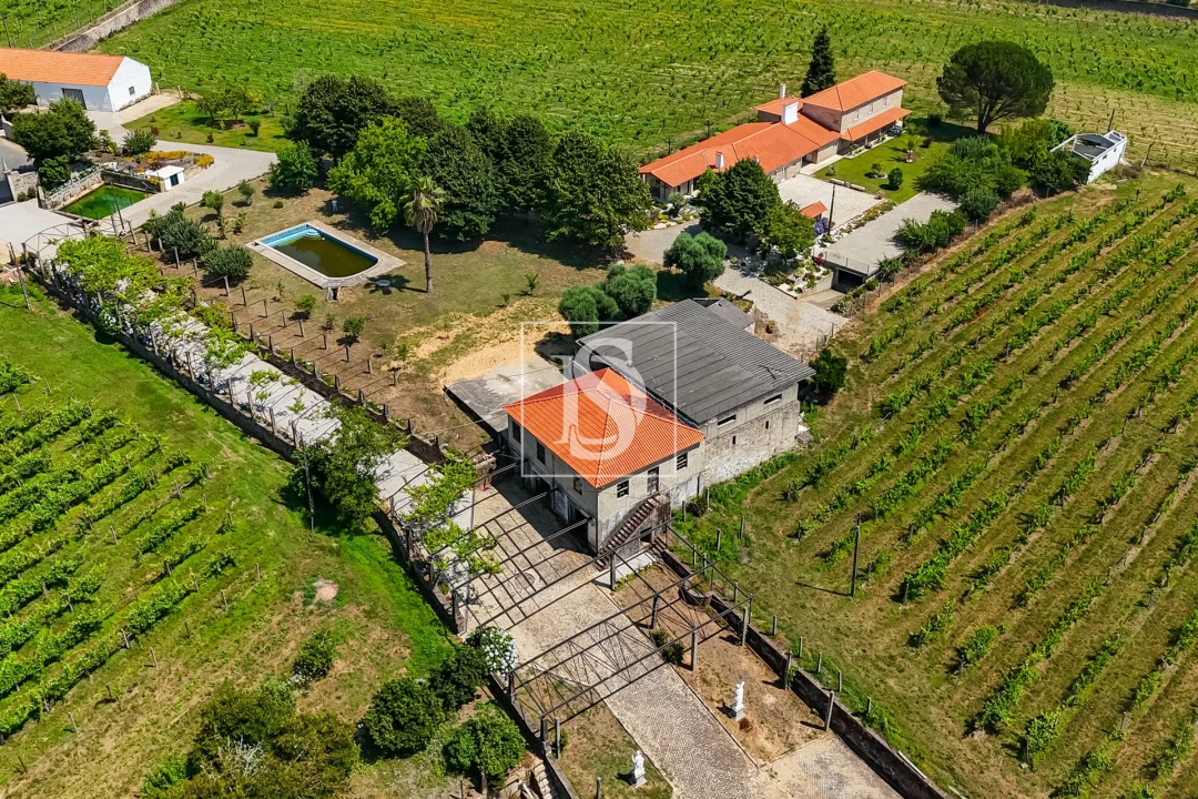 Quinta T15 para Venda em Geraz do Lima (Santa Maria, Santa Leocádia, Moreira), Deão Foto 36