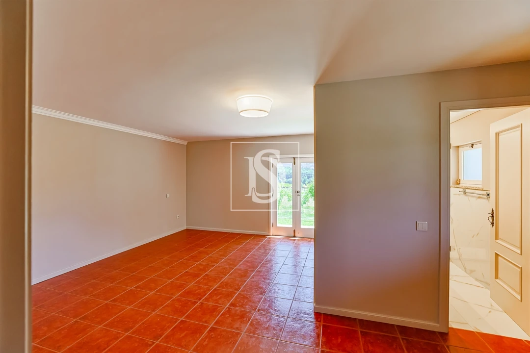 Quinta T15 para Venda em Geraz do Lima (Santa Maria, Santa Leocádia, Moreira), Deão Foto 62