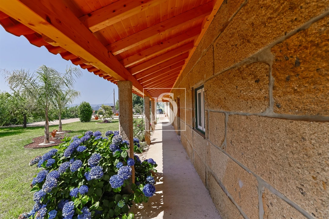 Quinta T15 para Venda em Geraz do Lima (Santa Maria, Santa Leocádia, Moreira), Deão Foto 52