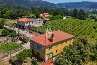 Quinta T15 para Venda em Geraz do Lima (Santa Maria, Santa Leocádia, Moreira), Deão