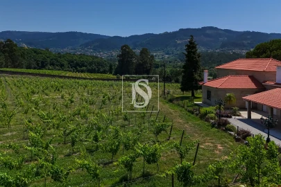 Quinta T15 para Venda em Geraz do Lima (Santa Maria, Santa Leocádia, Moreira), Deão
