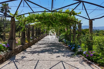 Quinta T15 para Venda em Geraz do Lima (Santa Maria, Santa Leocádia, Moreira), Deão