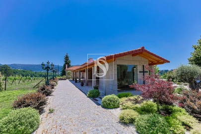 Quinta T15 para Venda em Geraz do Lima (Santa Maria, Santa Leocádia, Moreira), Deão