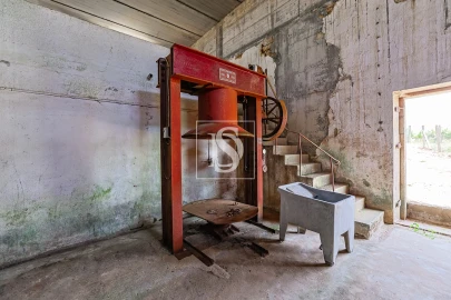 Quinta T15 para Venda em Geraz do Lima (Santa Maria, Santa Leocádia, Moreira), Deão