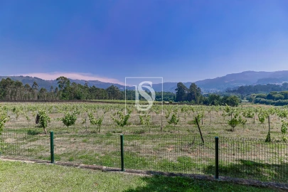 Quinta T15 para Venda em Geraz do Lima (Santa Maria, Santa Leocádia, Moreira), Deão