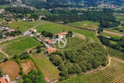 Quinta T15 para Venda em Geraz do Lima (Santa Maria, Santa Leocádia, Moreira), Deão