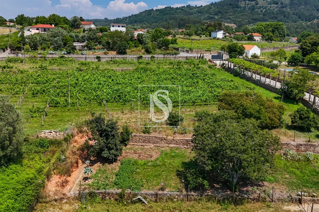 Quinta T15 para Venda em Geraz do Lima (Santa Maria, Santa Leocádia, Moreira), Deão Foto 23