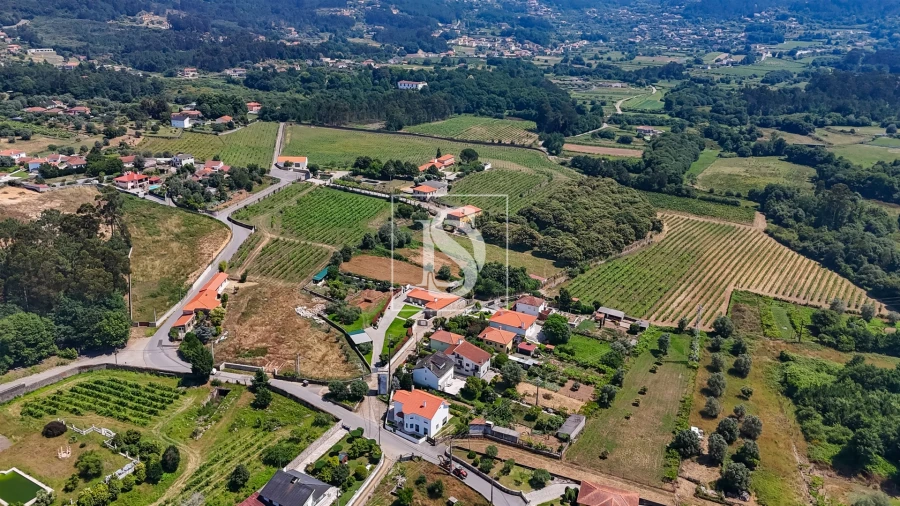 Quinta T15 para Venda em Geraz do Lima (Santa Maria, Santa Leocádia, Moreira), Deão Foto 33