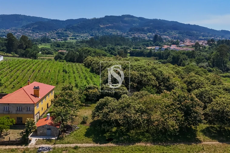 Quinta T15 para Venda em Geraz do Lima (Santa Maria, Santa Leocádia, Moreira), Deão Foto 24