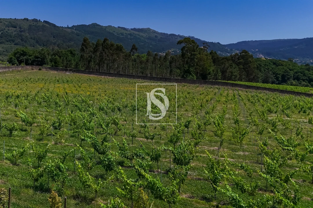 Quinta T15 para Venda em Geraz do Lima (Santa Maria, Santa Leocádia, Moreira), Deão Foto 18