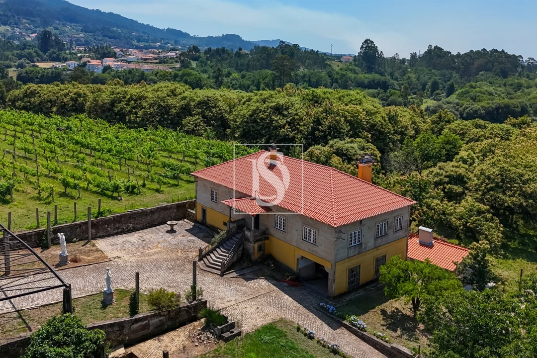 Quinta T15 para Venda em Geraz do Lima (Santa Maria, Santa Leocádia, Moreira), Deão Foto 6