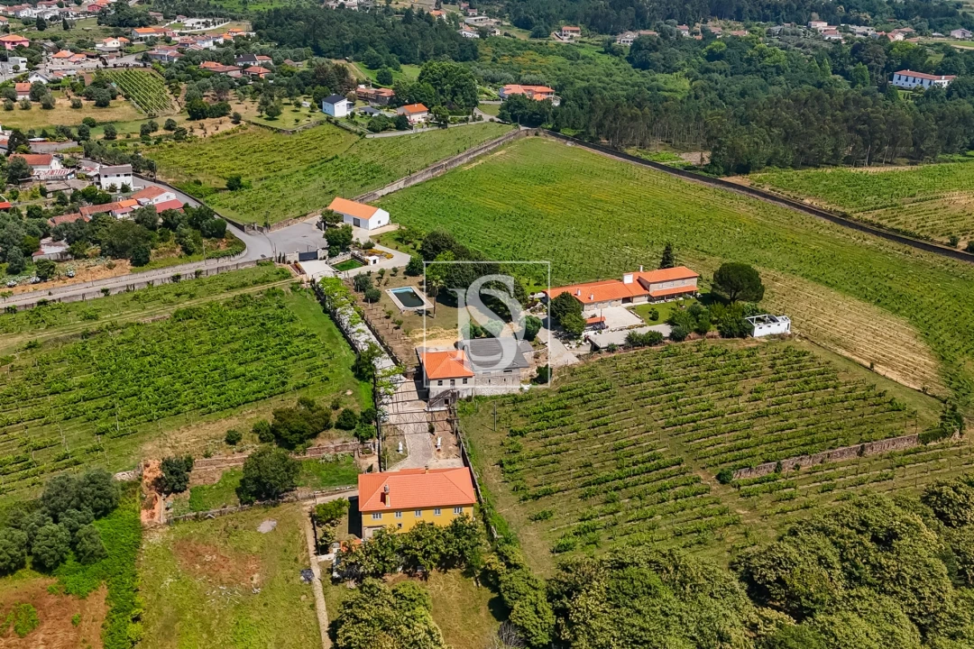 Quinta T15 para Venda em Geraz do Lima (Santa Maria, Santa Leocádia, Moreira), Deão Foto 35