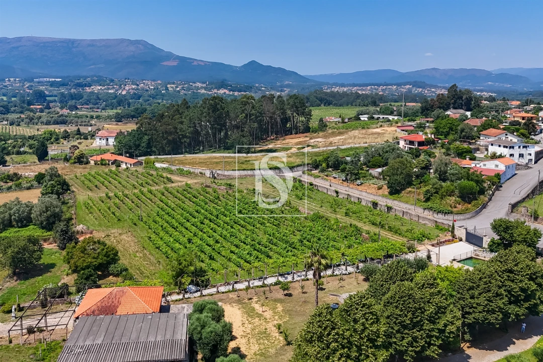 Quinta T15 para Venda em Geraz do Lima (Santa Maria, Santa Leocádia, Moreira), Deão Foto 29