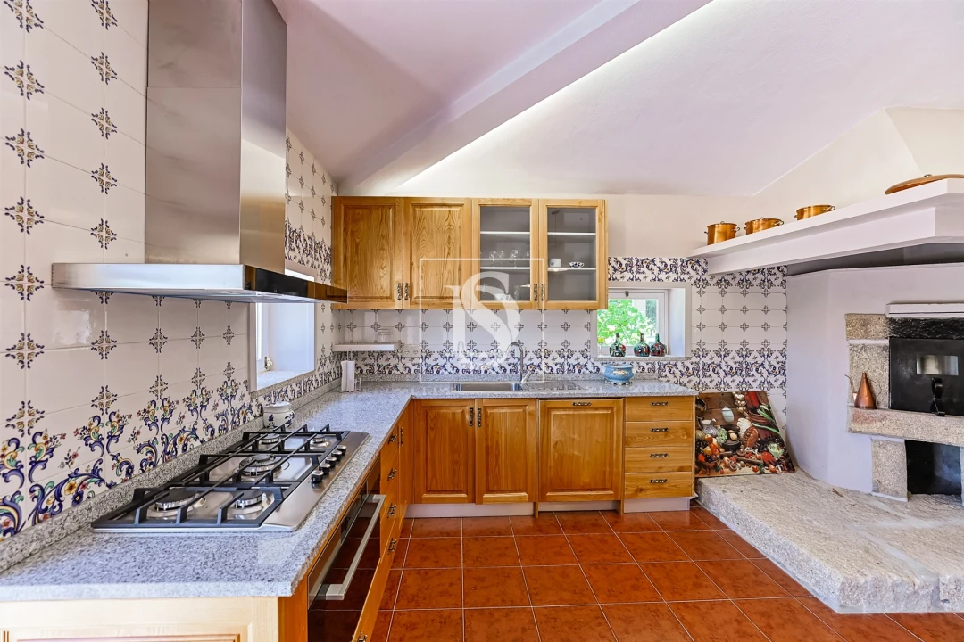 Quinta T15 para Venda em Geraz do Lima (Santa Maria, Santa Leocádia, Moreira), Deão Foto 40