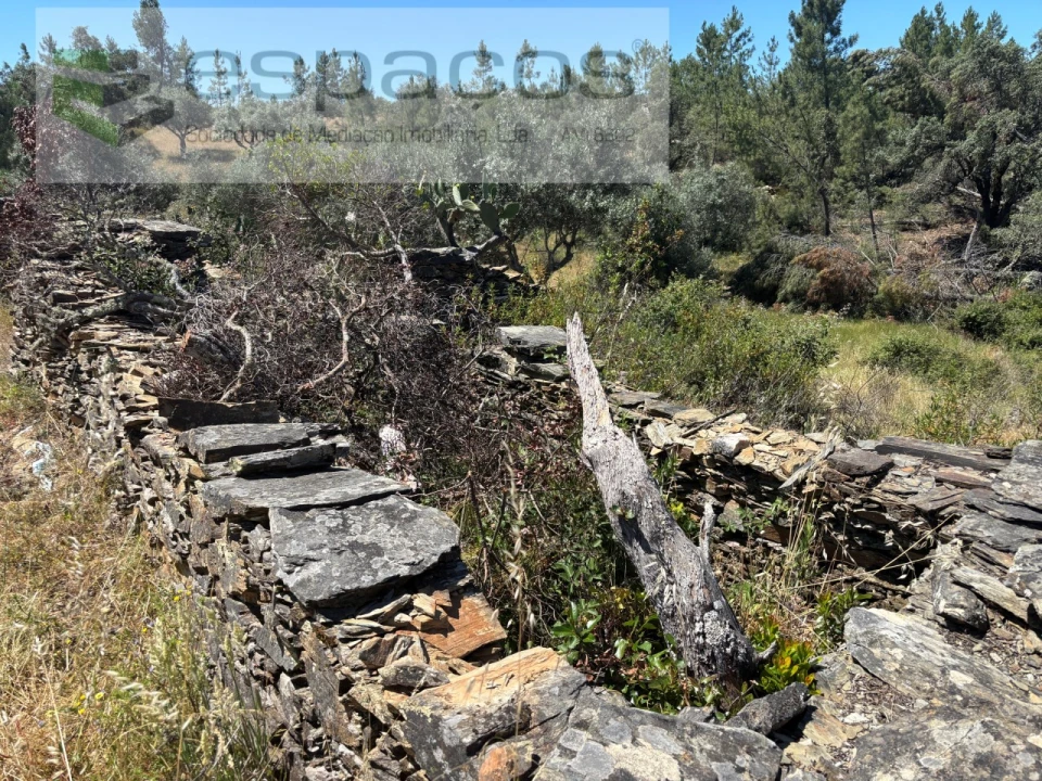 Terreno para Venda em Benquerenças Foto 1