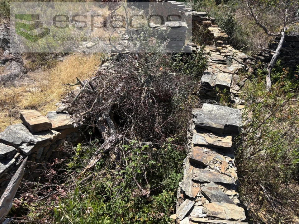 Terreno para Venda em Benquerenças Foto 2