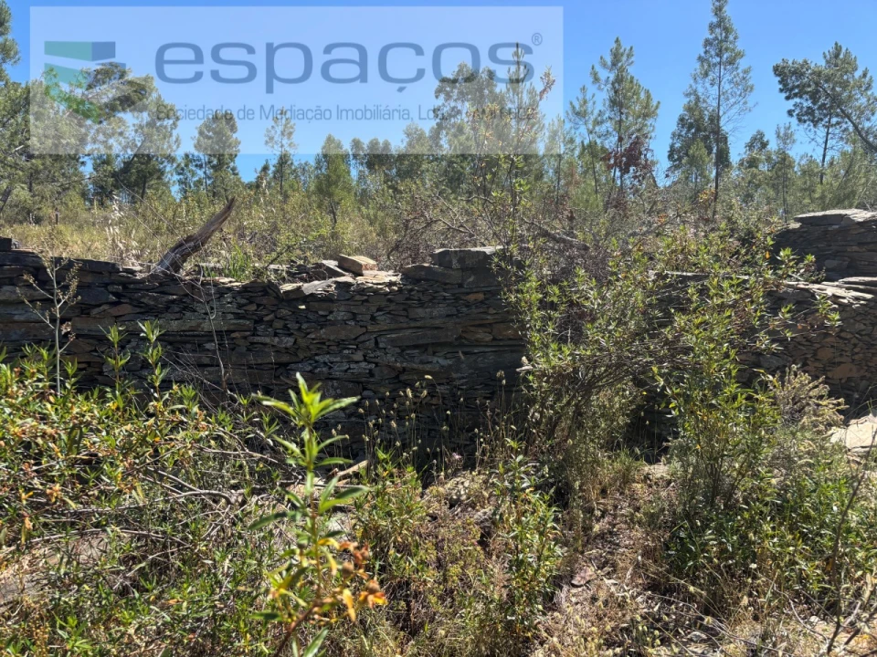Terreno para Venda em Benquerenças Foto 4