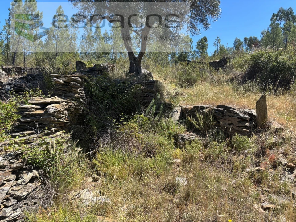 Terreno para Venda em Benquerenças Foto 9