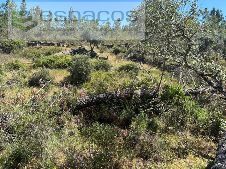 Terreno para Venda em Benquerenças Foto 13