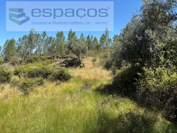 Terreno para Venda em Benquerenças