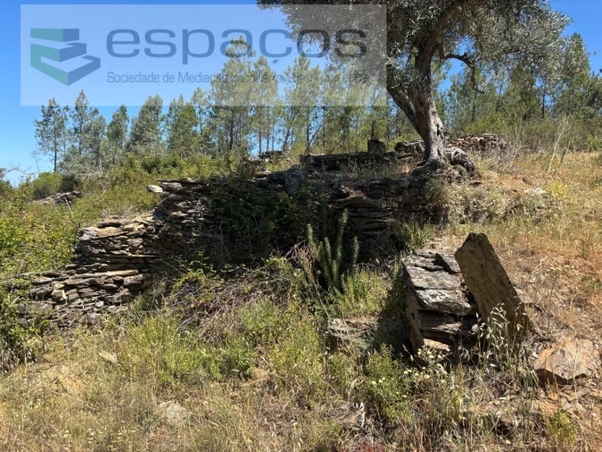 Terreno para Venda em Benquerenças Foto 5