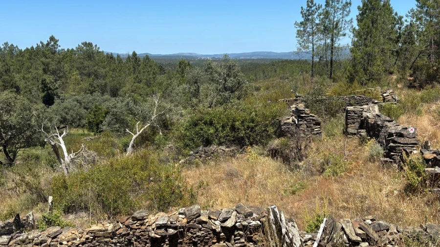 Terreno para Venda em Benquerenças