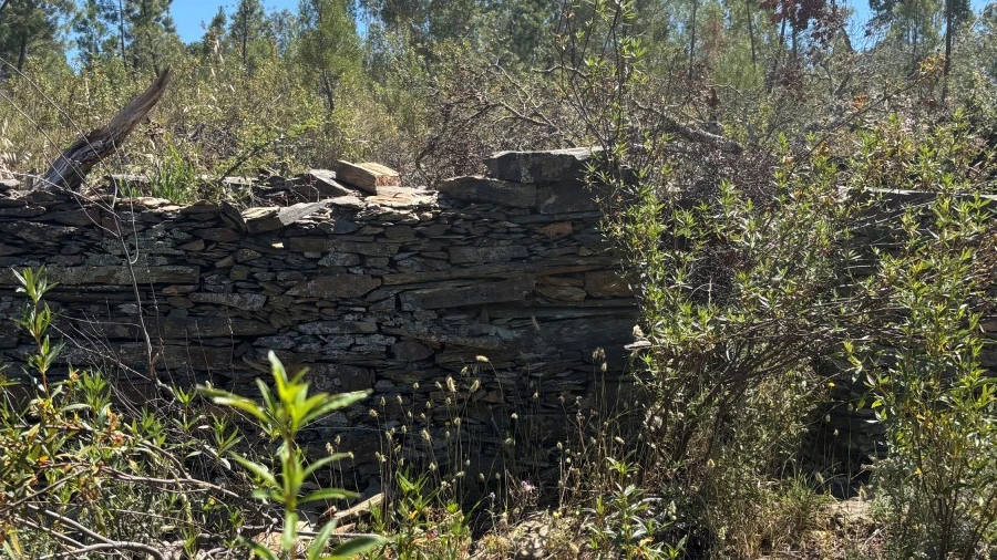 Terreno para Venda em Benquerenças