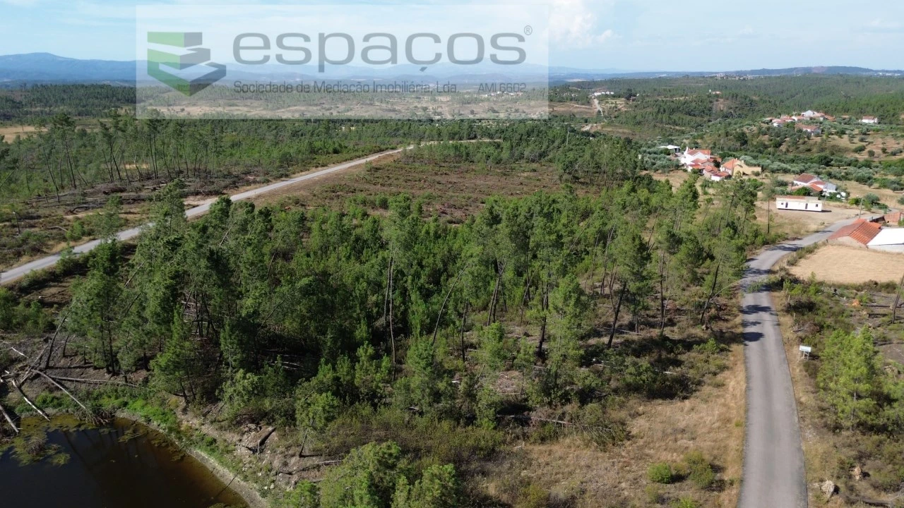 Terreno para Venda em Sarzedas Foto 1