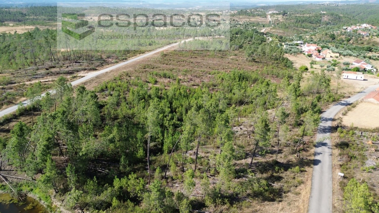 Terreno para Venda em Sarzedas Foto 2